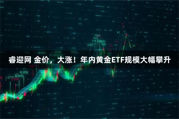 睿迎网 金价，大涨！年内黄金ETF规模大幅攀升